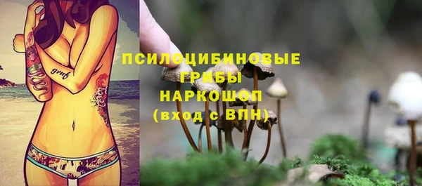 индика Краснослободск