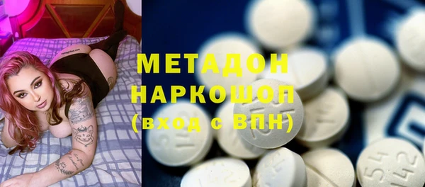 индика Краснослободск