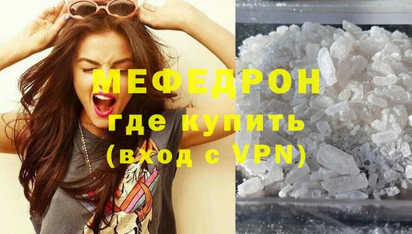 индика Краснослободск