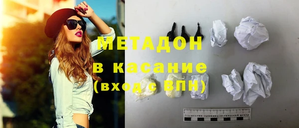 индика Краснослободск