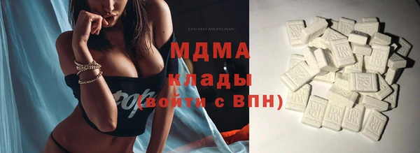 индика Краснослободск
