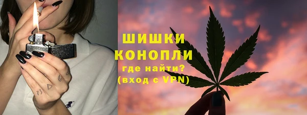 индика Краснослободск