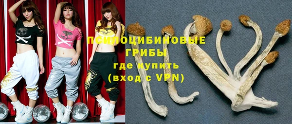индика Краснослободск