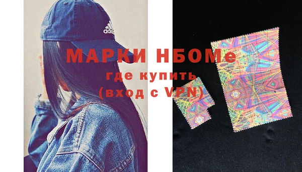 индика Краснослободск