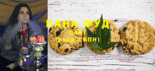 индика Краснослободск