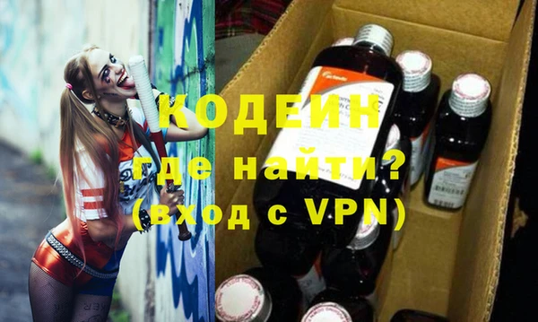 индика Краснослободск