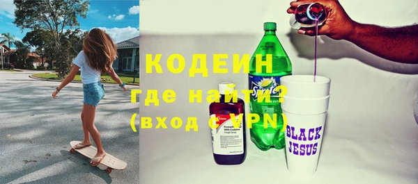 индика Краснослободск