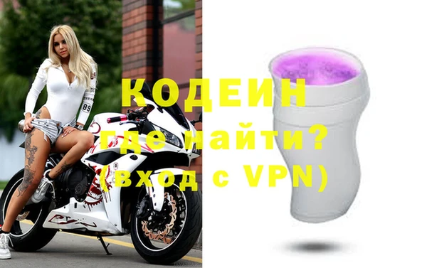 индика Краснослободск
