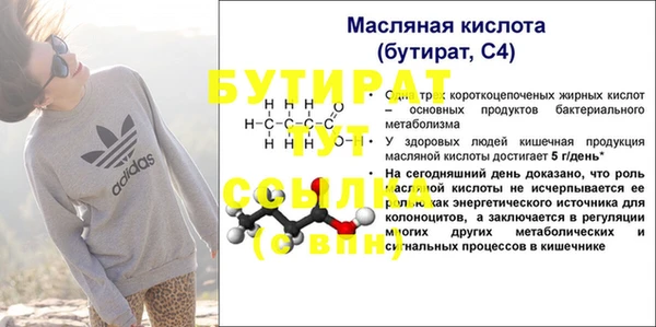 индика Краснослободск