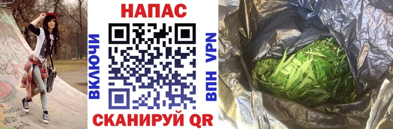 Купить  Шуя  Шишки марихуана Amnesia 